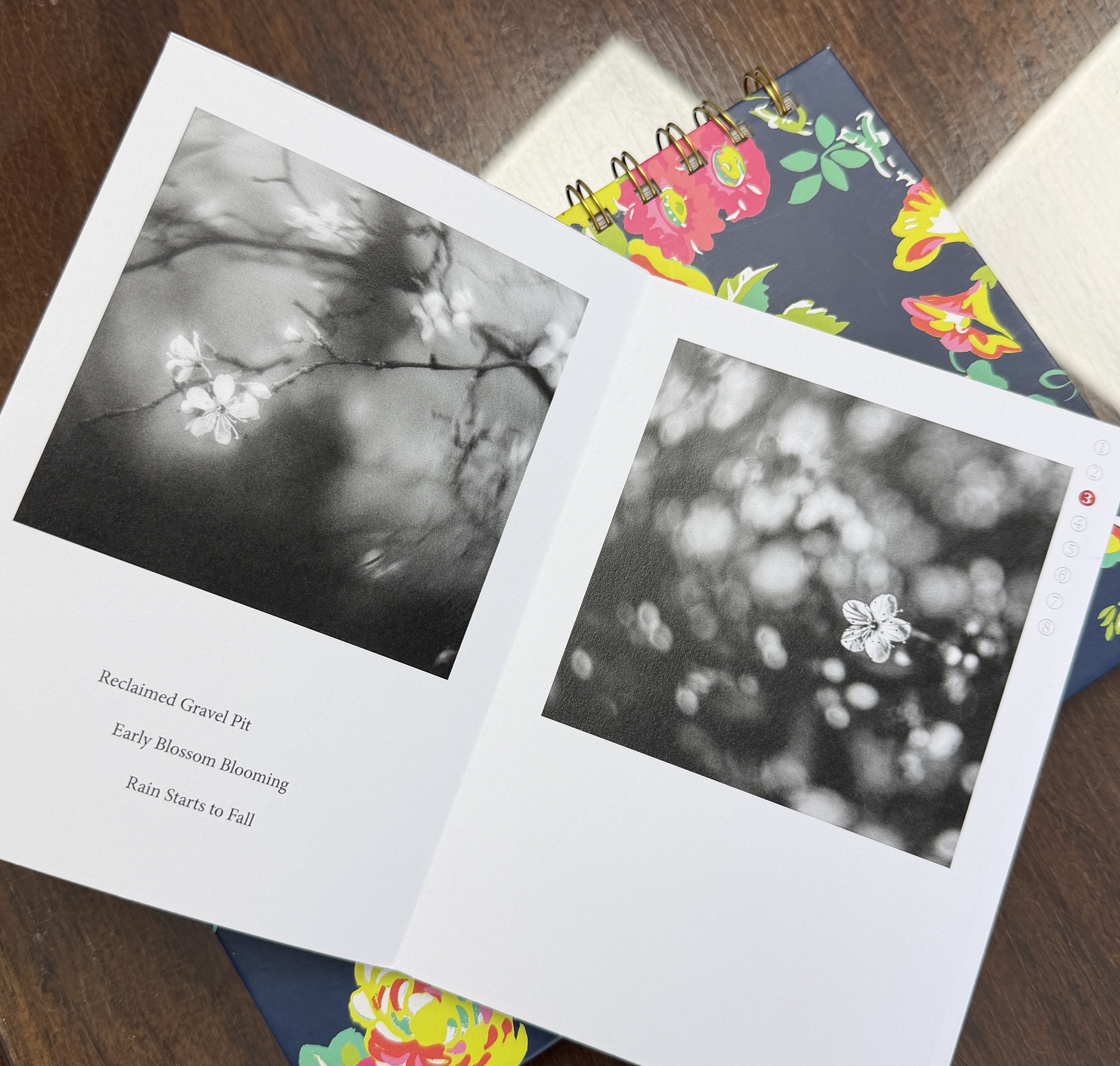 Zine photo