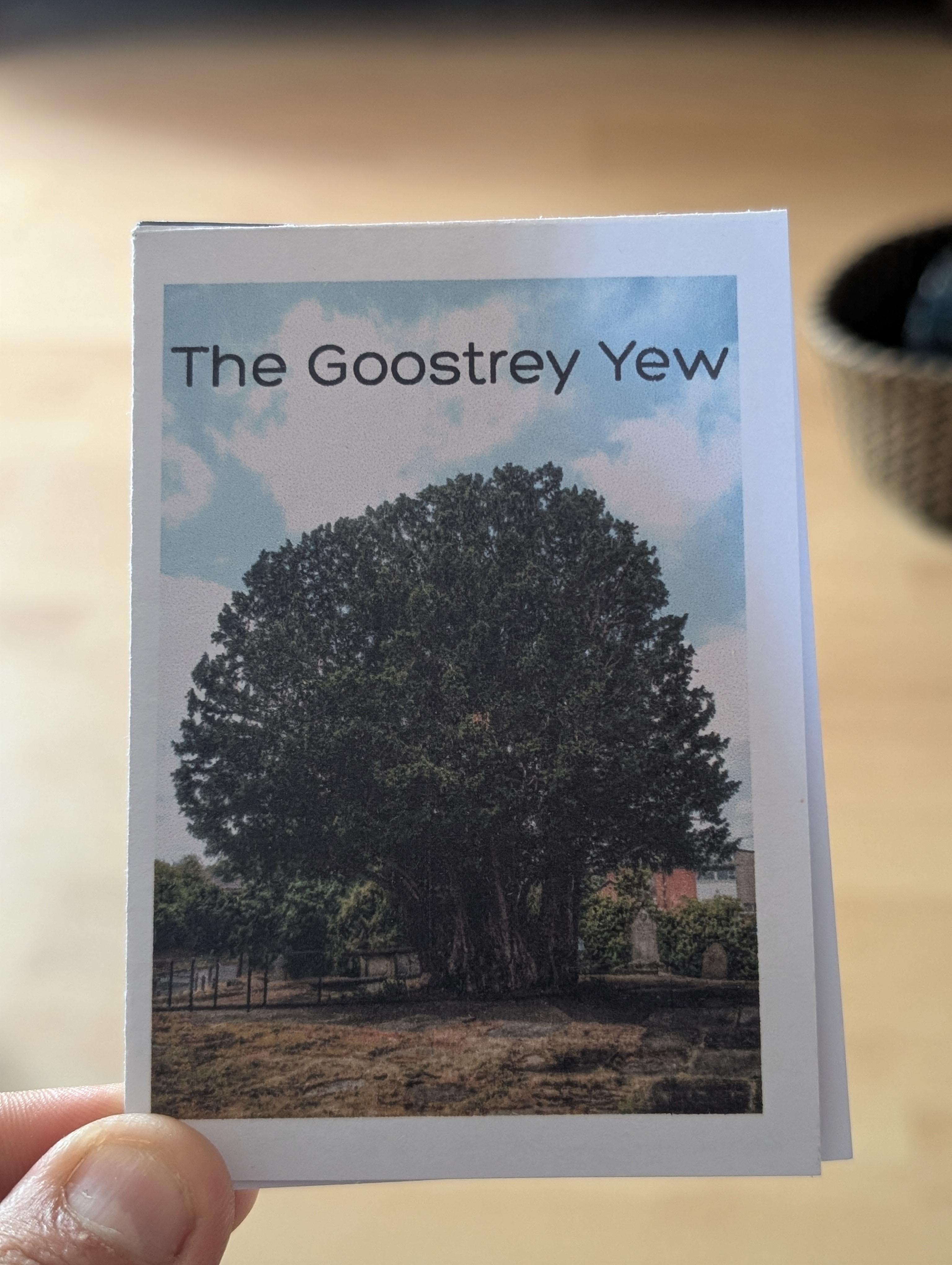 Zine photo